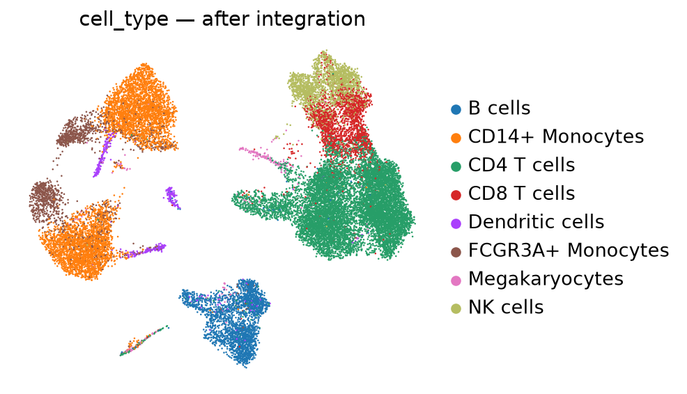 Cell types after