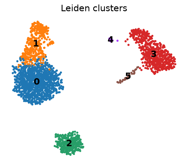 UMAP clusters